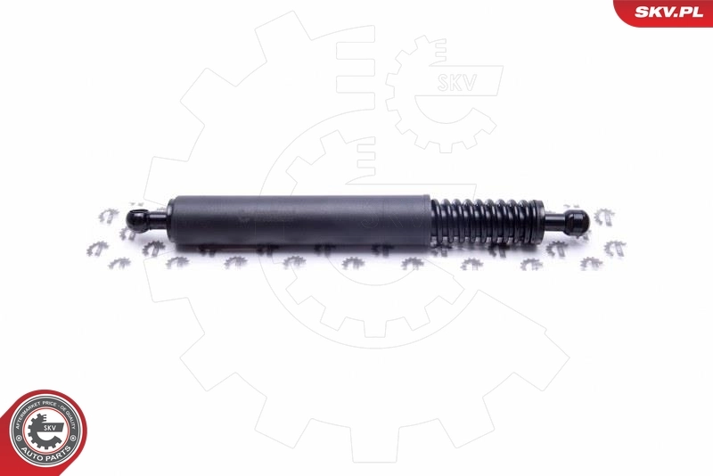 Gas Spring, boot/cargo area